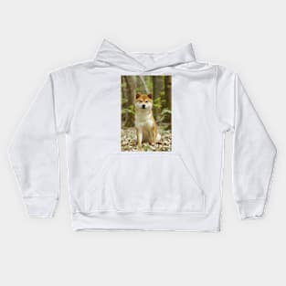 Shiba Inu Dog, Japanese Small Size Dog Kids Hoodie